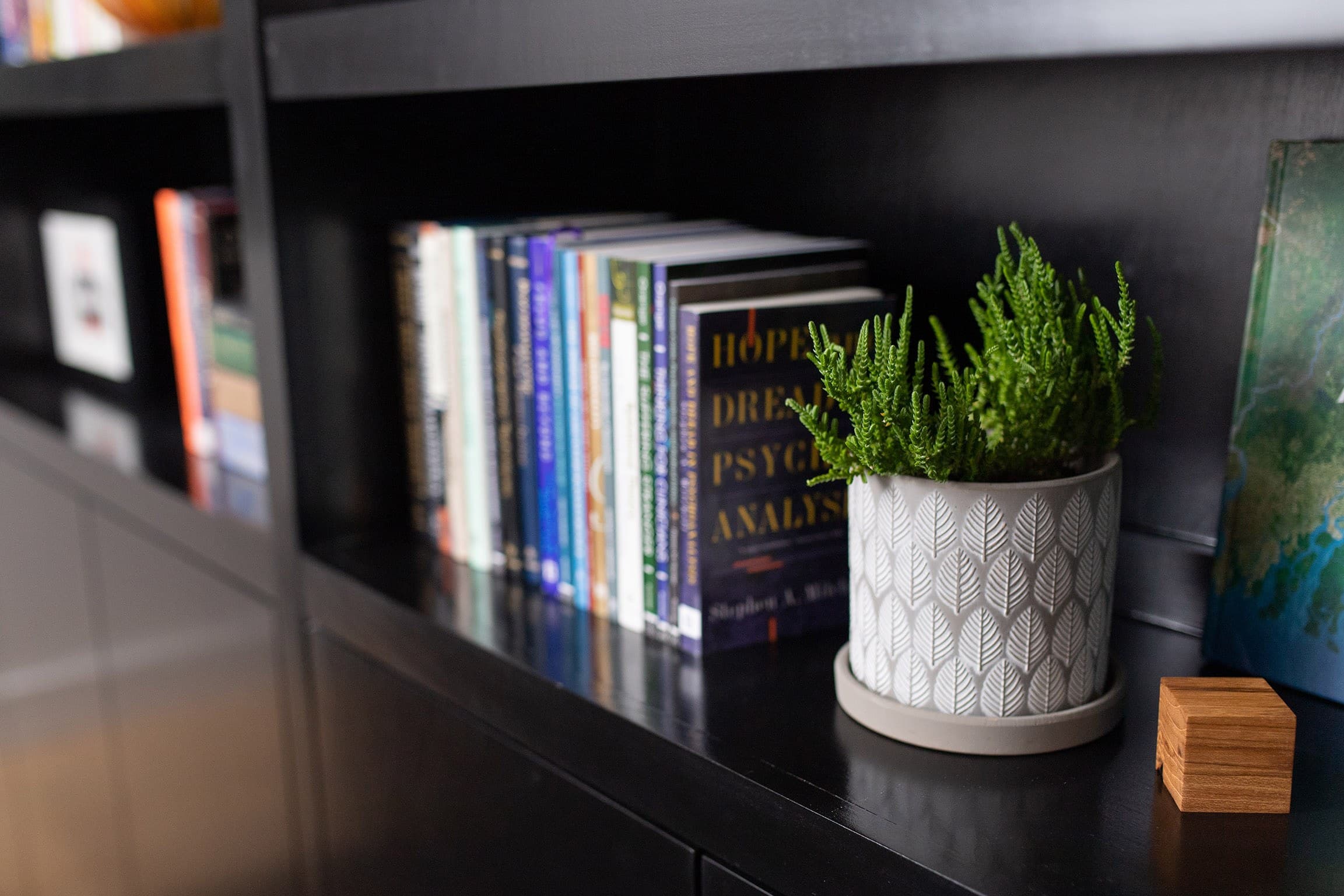 Plant and books on a black bookshelf